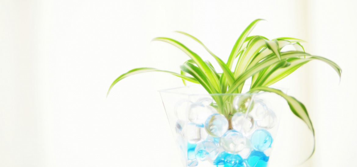 静岡市葵区安東 安東小学校前 耳鼻咽喉科